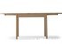 Carl Hansen CH_002