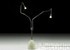 Zeus Tree light